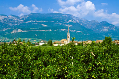 Alberi di mele con il paese di Egna sullo sfondo