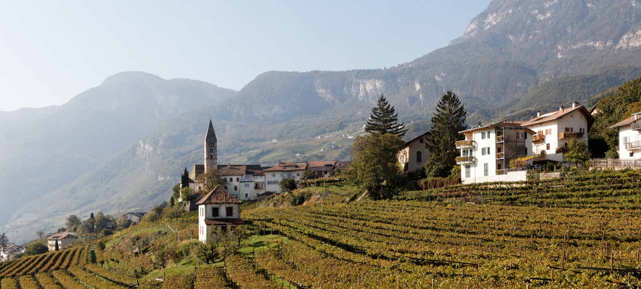 Cortaccia, a South Tyrolean wine village with a long tradition