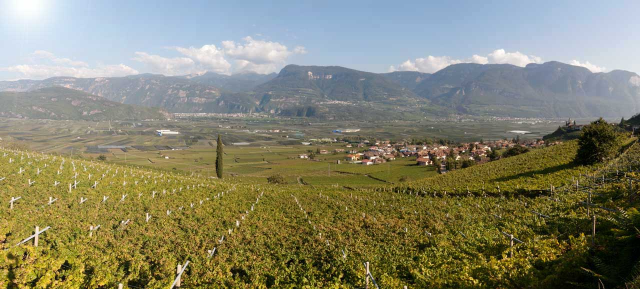 Le vigne di Termeno e le montagne circostanti