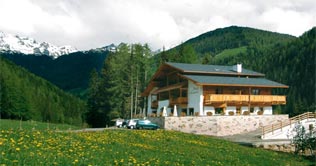 Hotel Arnstein umgeben von grünen Wäldern und Wiesen