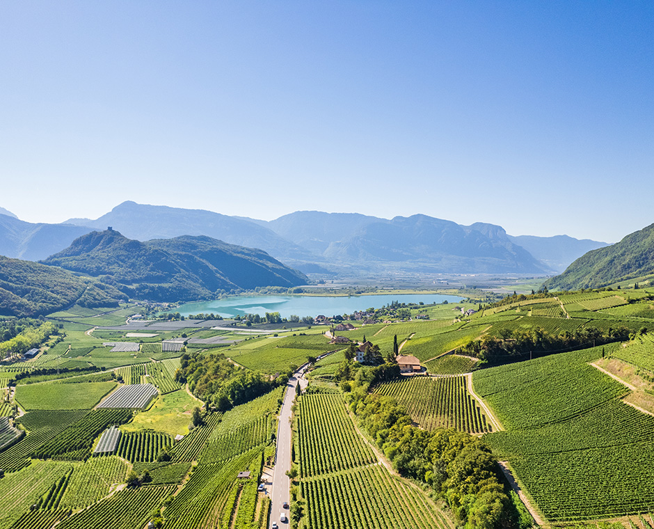 Lago di Caldaro, Strada del Vino