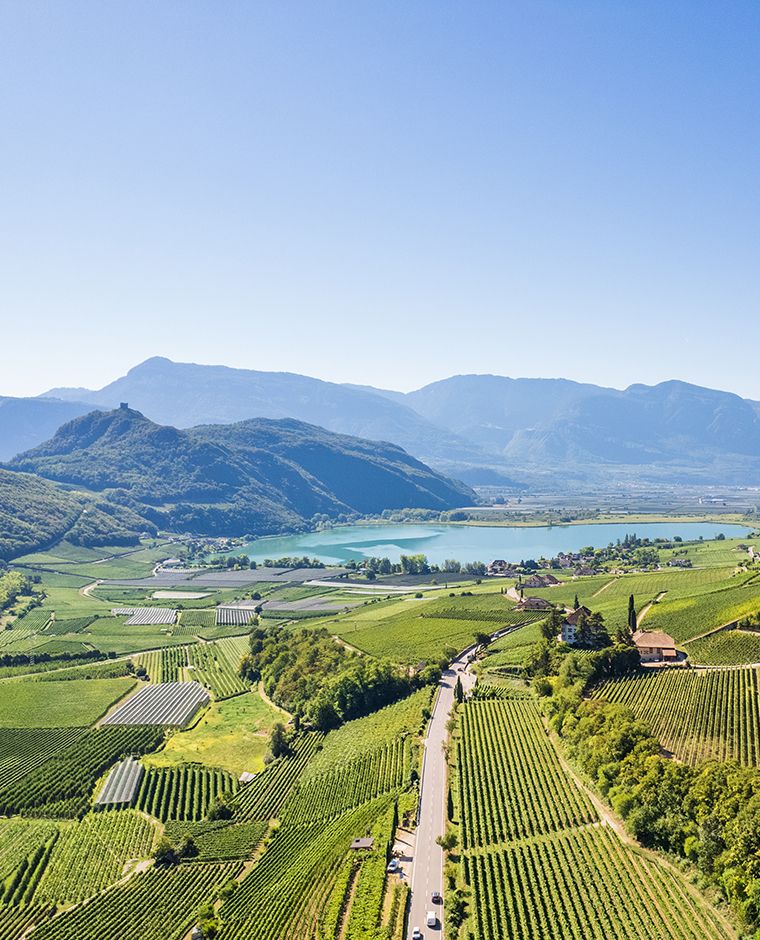 aerial view of vineyards towards lake caldaro