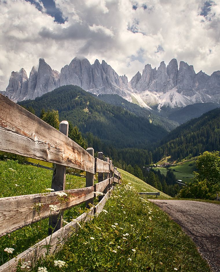 View of the Odle in Val di Funes, among flowering meadows and wooden fences