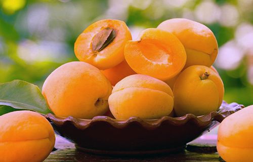 Marble & Apricots Fest