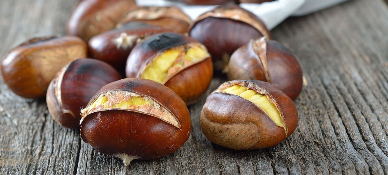 The Chestnut Festival 