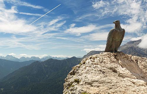 Brothers of the wind film