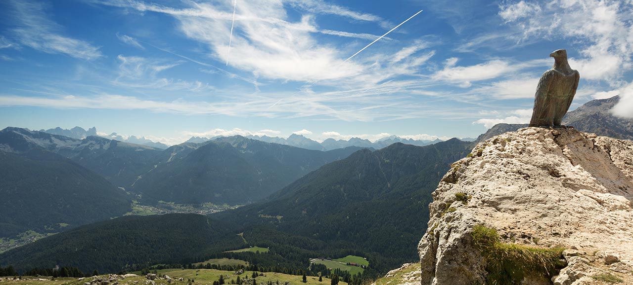 Brothers of the wind film