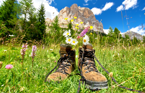 Hiking boots among mountain flowers with the Dolomites in the background under a blue sky.