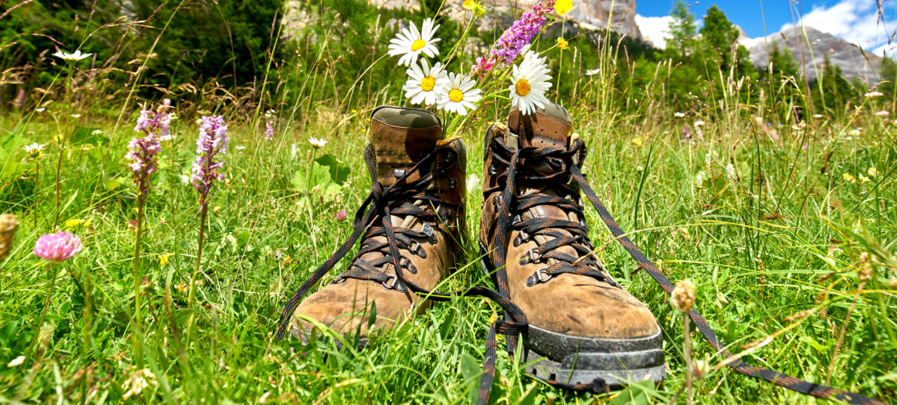 Scarponi da trekking tra i fiori di montagna, con le Dolomiti sullo sfondo sotto un cielo azzurro.