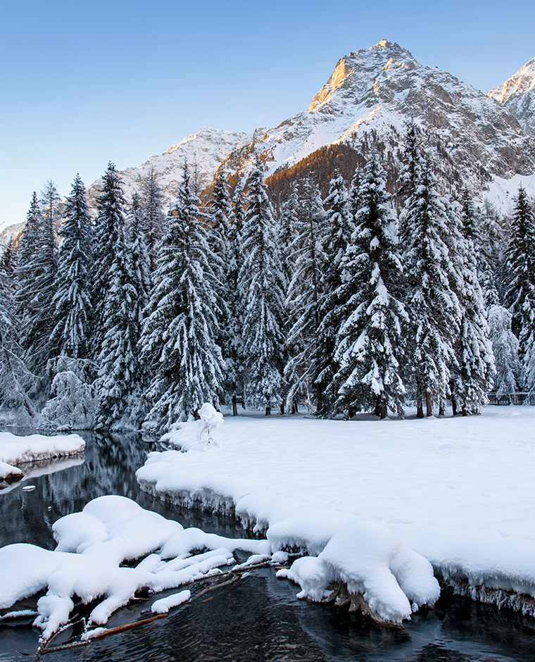 Winterlicher Blick auf den Antholzer See mit verschneiter Landschaft