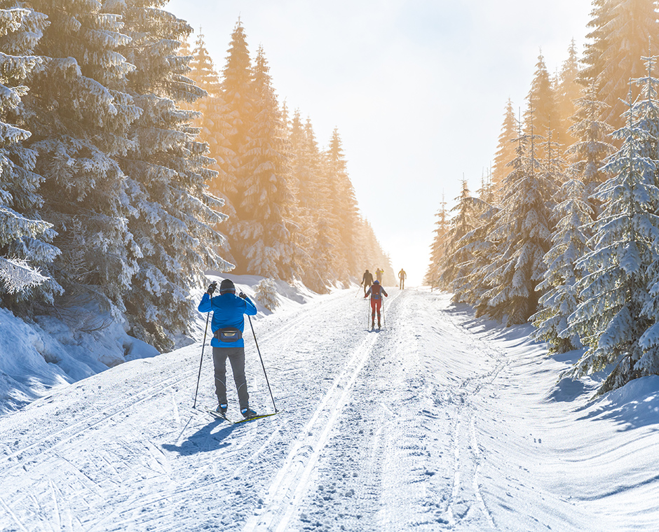 CLangläufer in der Val di Fiemme mit verschneiter Loipe und Waldlandschaft