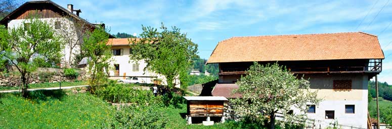 Farm in Appiano, in South Tyrol