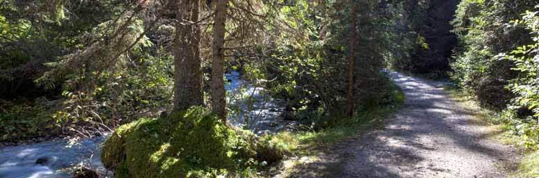 Sentiero delle sorgenti che costeggia un torrente, in Alta Pusteria