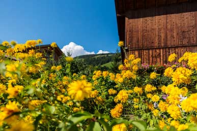 Blumen und Natur im Zentrum des Dorfes