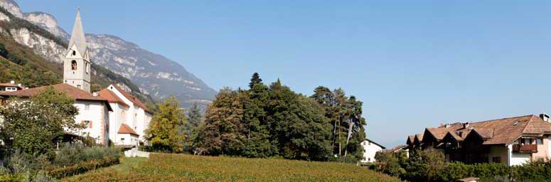 View of Magrè in South Tyrol