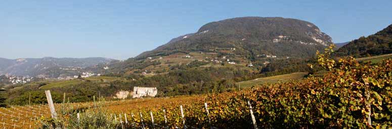 View of Montagna, surrounded by orchards and vineyards