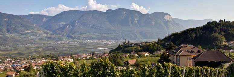 Termeno, un paese lungo la Strada del Vino