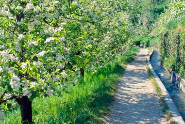 Sentiero a Marlengo che corre lungo il canale d'irrigazione