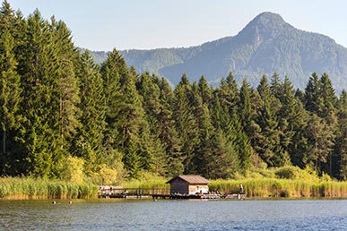 Ufer des Völser Weiher