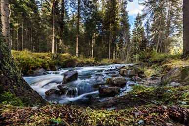 Water stream close to Anterselva