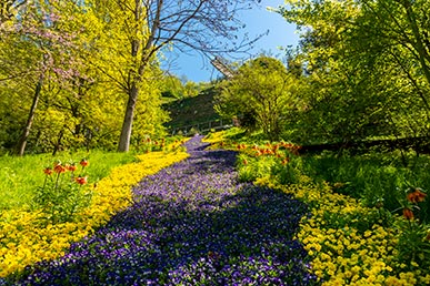 Blumenteppich in den Gärten von Schloss Trauttmansdorff