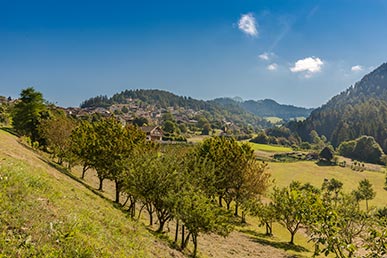 Trodena circondato dalla natura