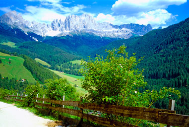 Prati verdi e alberi ricoprono i pendii, in lontananza si vede il Catinaccio