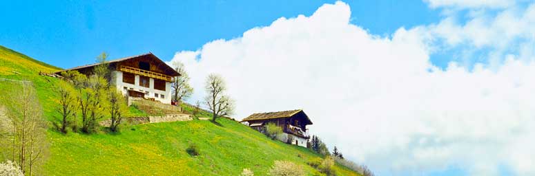 I prati verdi della Val d'Ultimo in estate