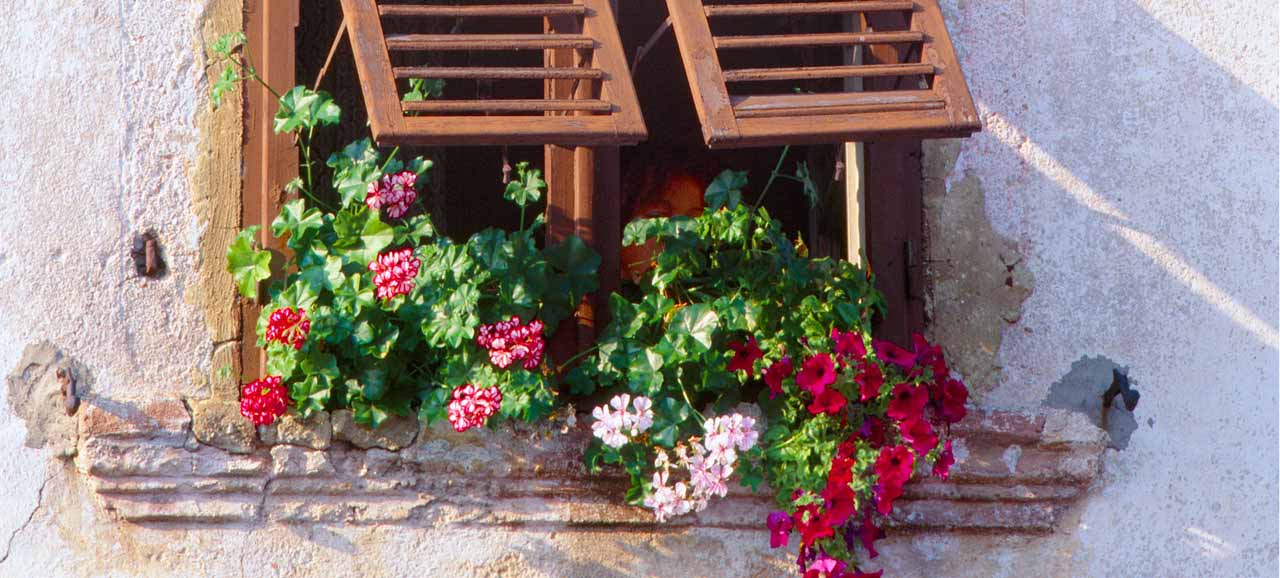 Blumen am Fenster – Bauernhof in der Umgebung von Bozen