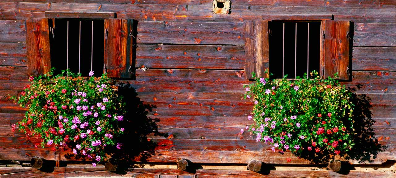 Blumenvasen am Fenster eines Südtiroler Bauernhofs