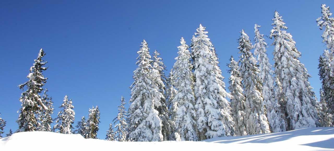Winter landscape of South Tyrol