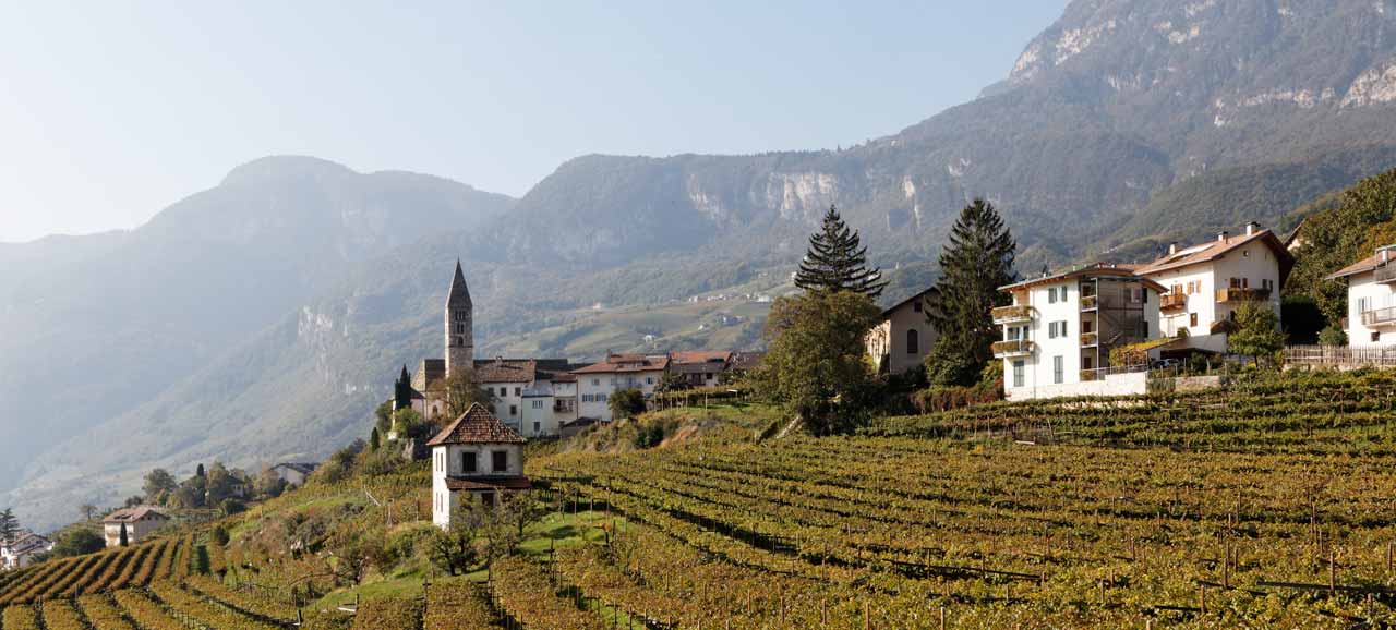 Panorama sui vigneti e sulla cittadina di Cortaccia