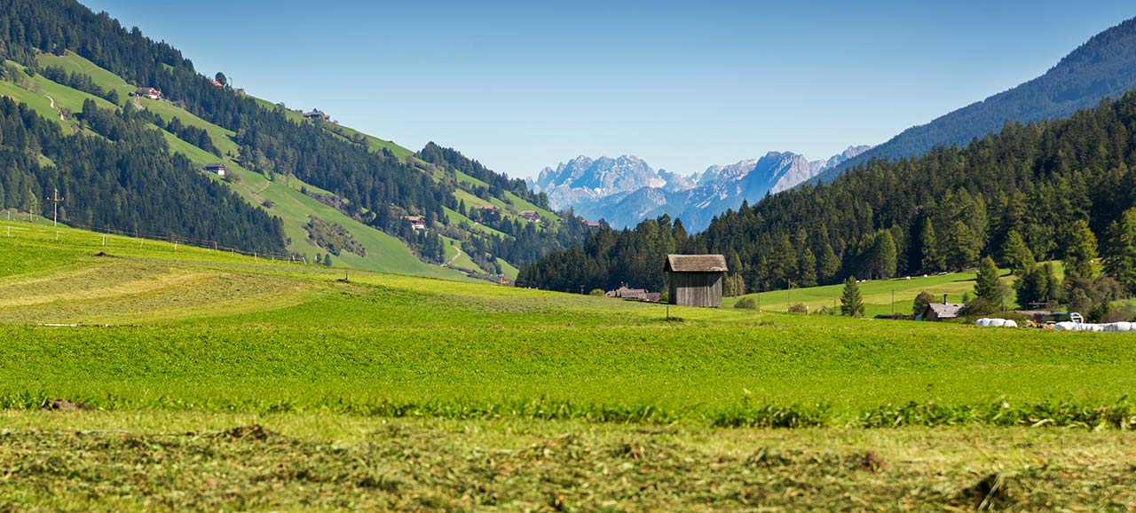 Estate in alta pusteria