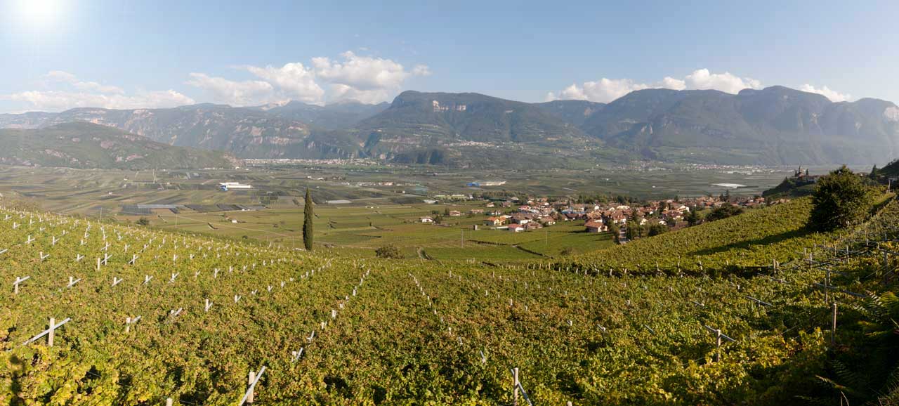 Das Panorama von Tramin, Südtirols Süden