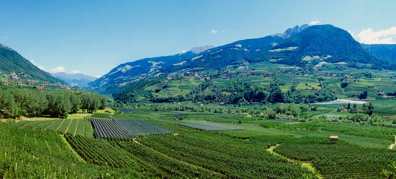 Panorama su distese verdi nei dintorni di Merano