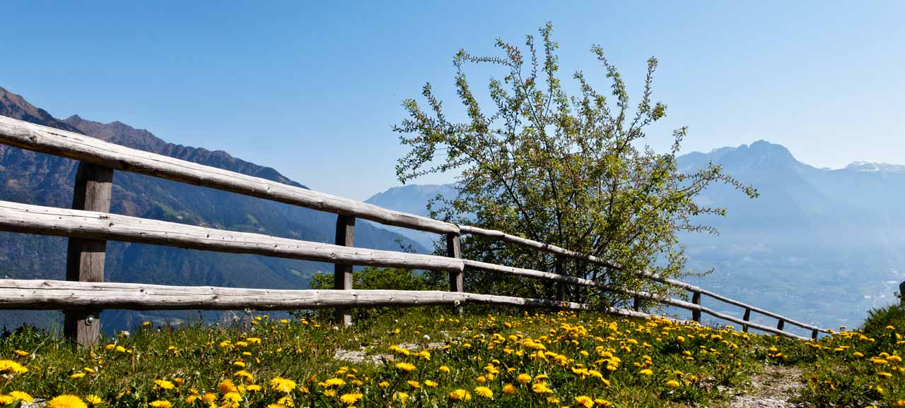 Prato in fiore e steccato nella località di Parcines