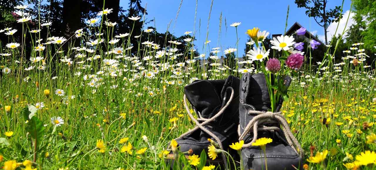 Bel tempo in Alto Adige con i fiori che sbocciano