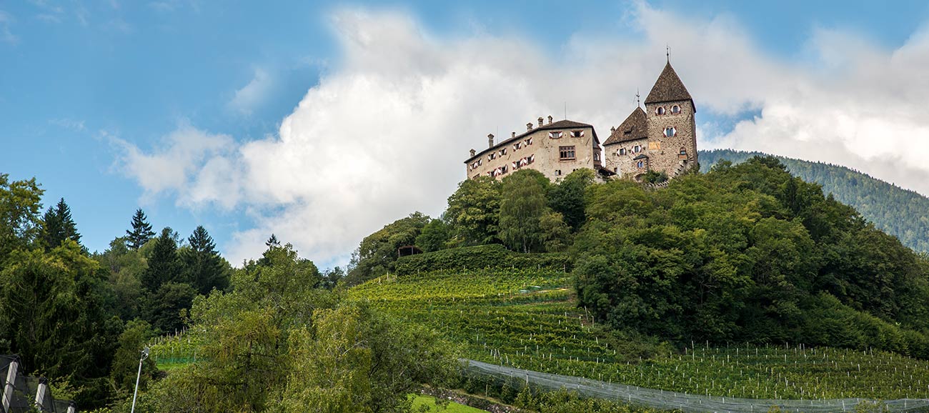 Schloss Wehrburg in Prissian auf einem Hügel umgeben von Weinreben