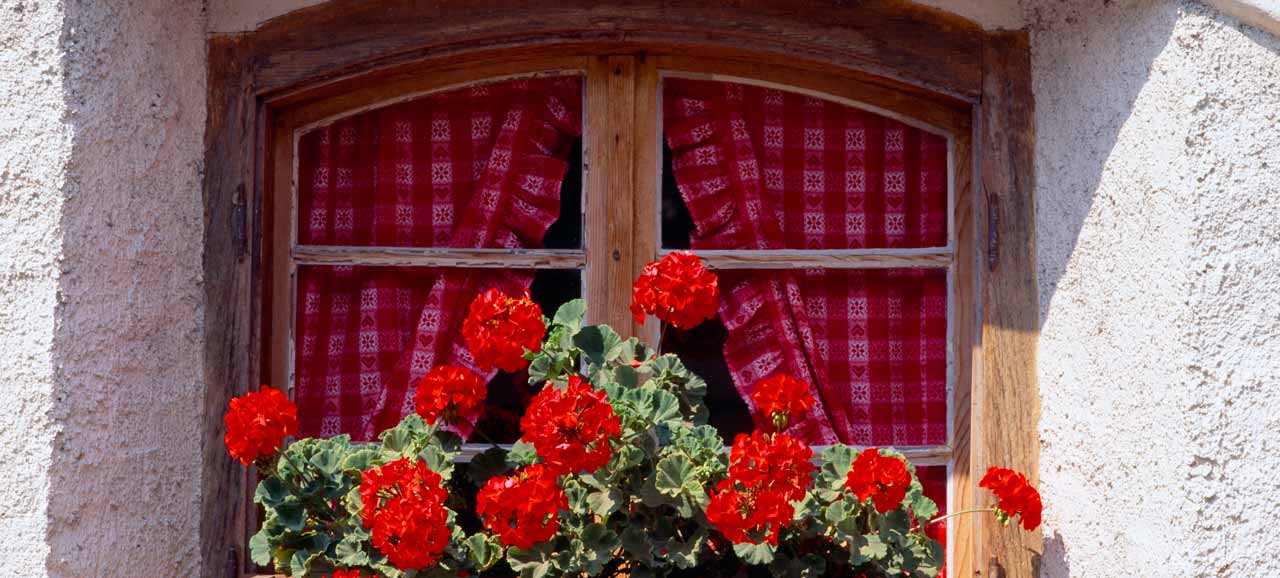 Gerani in fiore su un balcone in Alto Adige