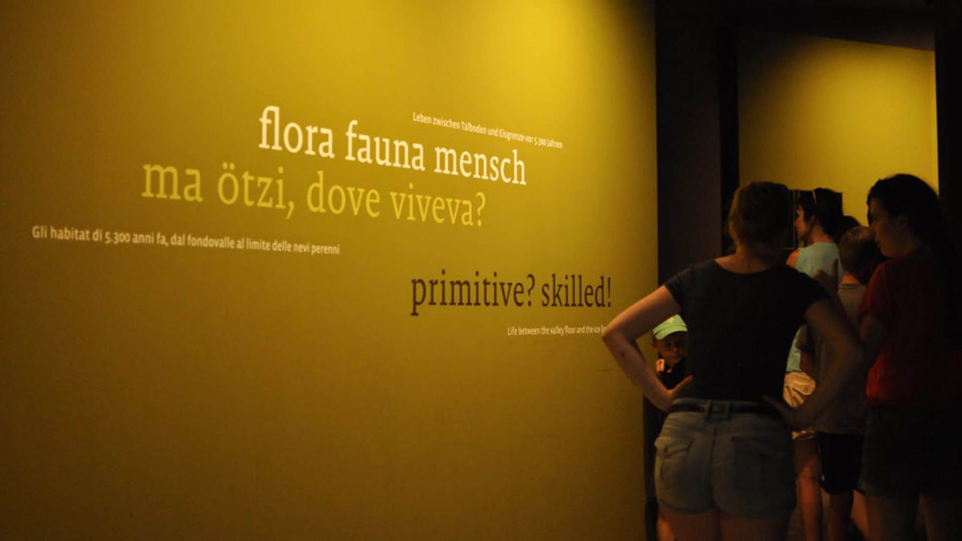 Museo ArcheoParc Senales