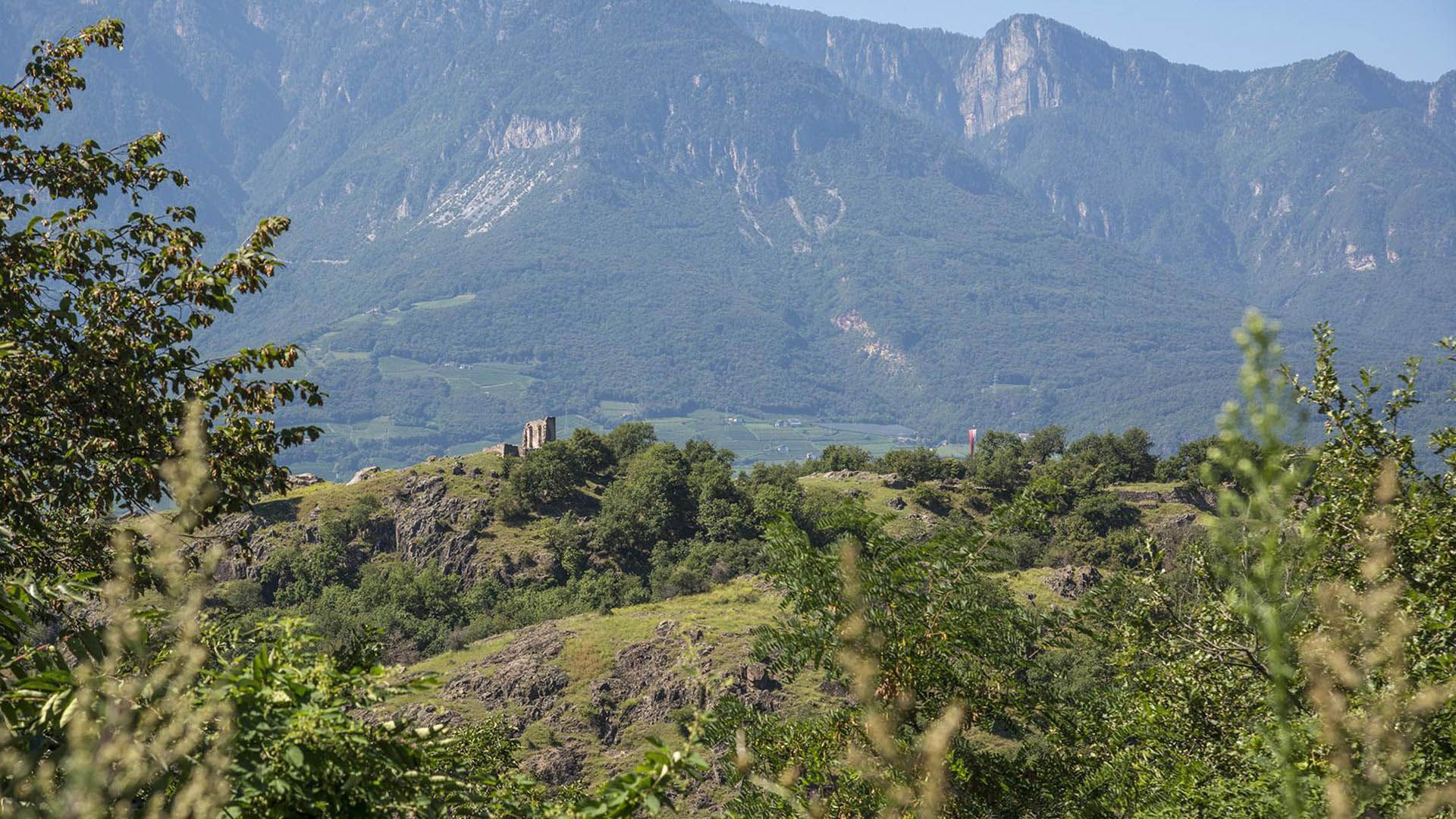 Castelfeder above Auer in the Eisack Valley with castle ruins and biotope