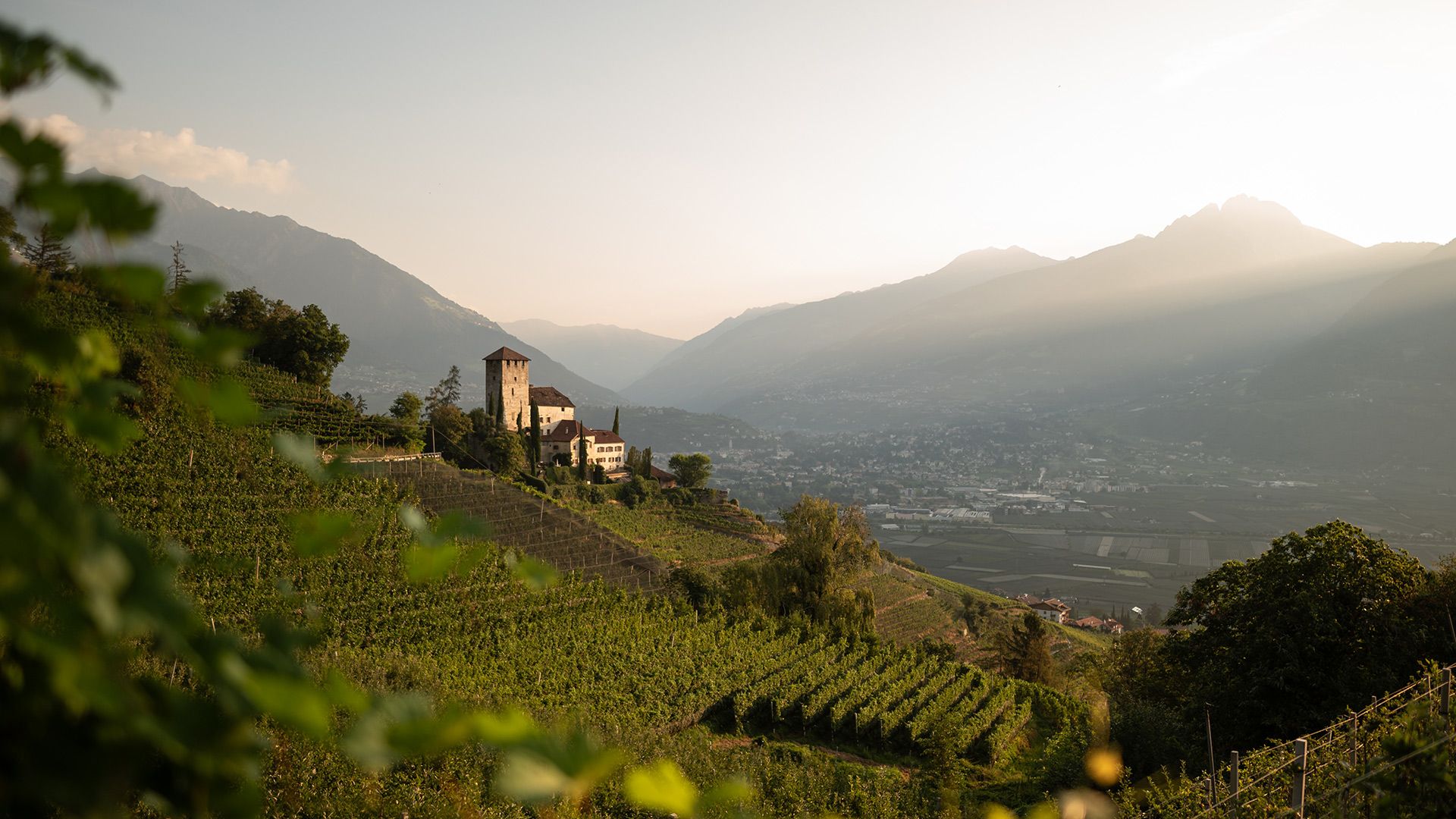Panoramic view towards Cermes with the castle in the background