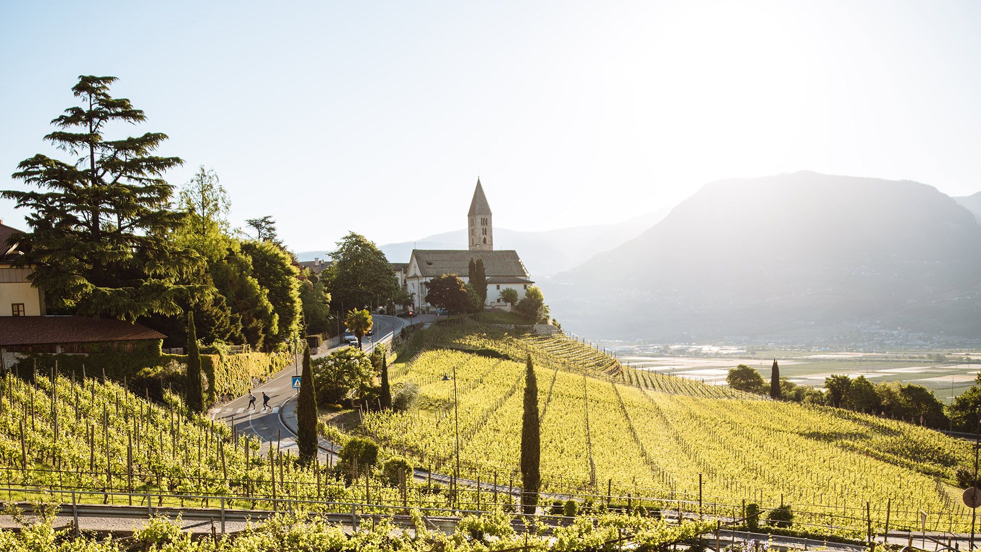 Panoramic view in Cortaccia