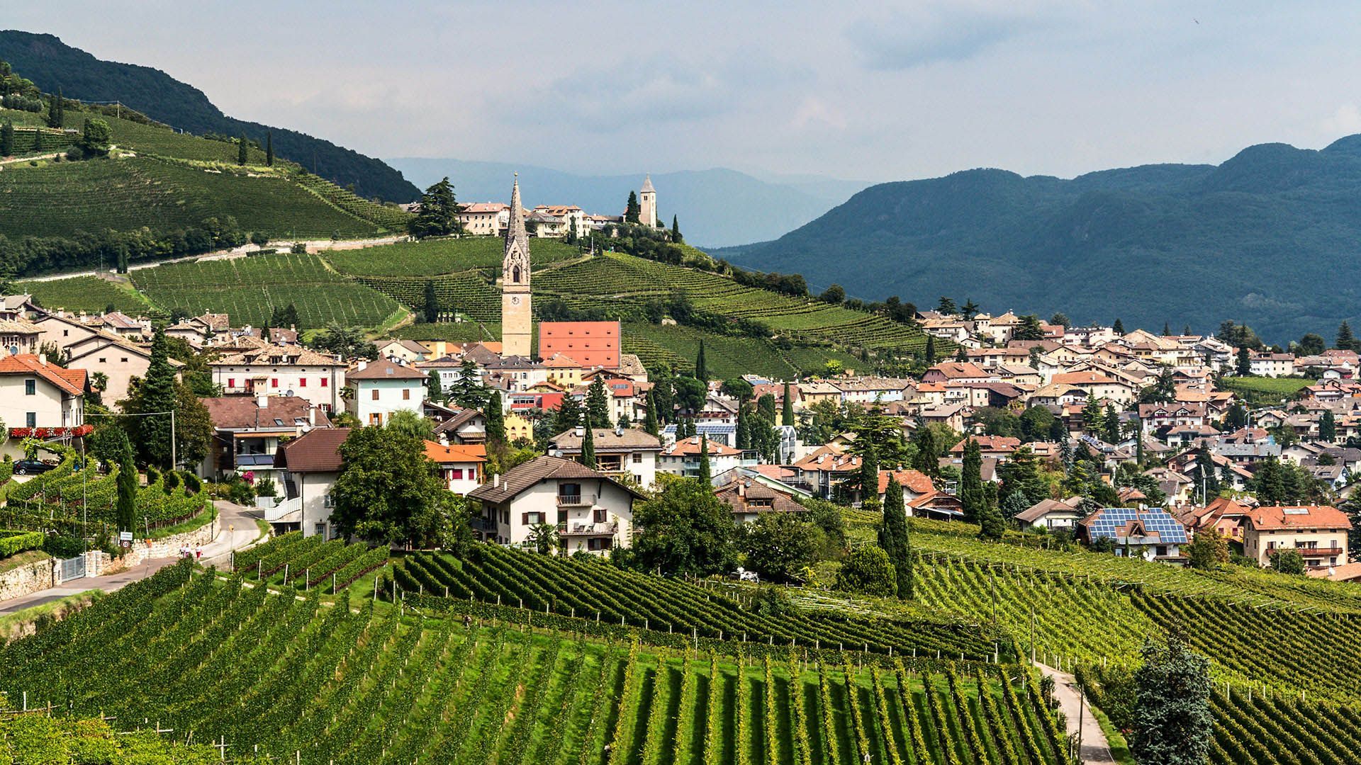 View of the village of Termeno