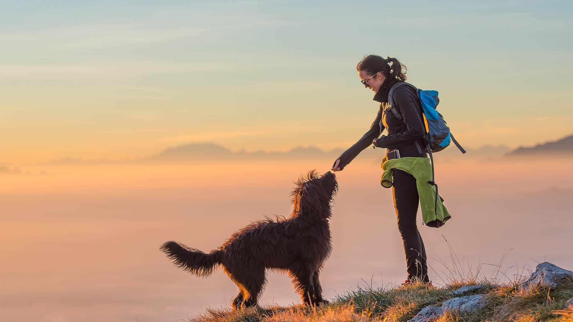 Hiker petting her dog on a mountain meadow at sunset, with a backpack and warm smile
