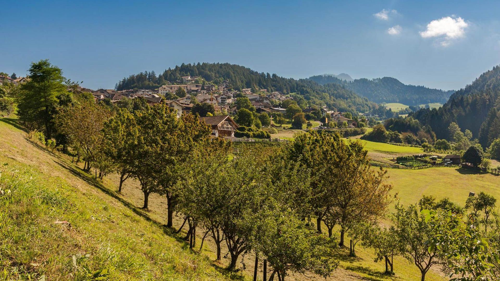 Panoramic view Trodena