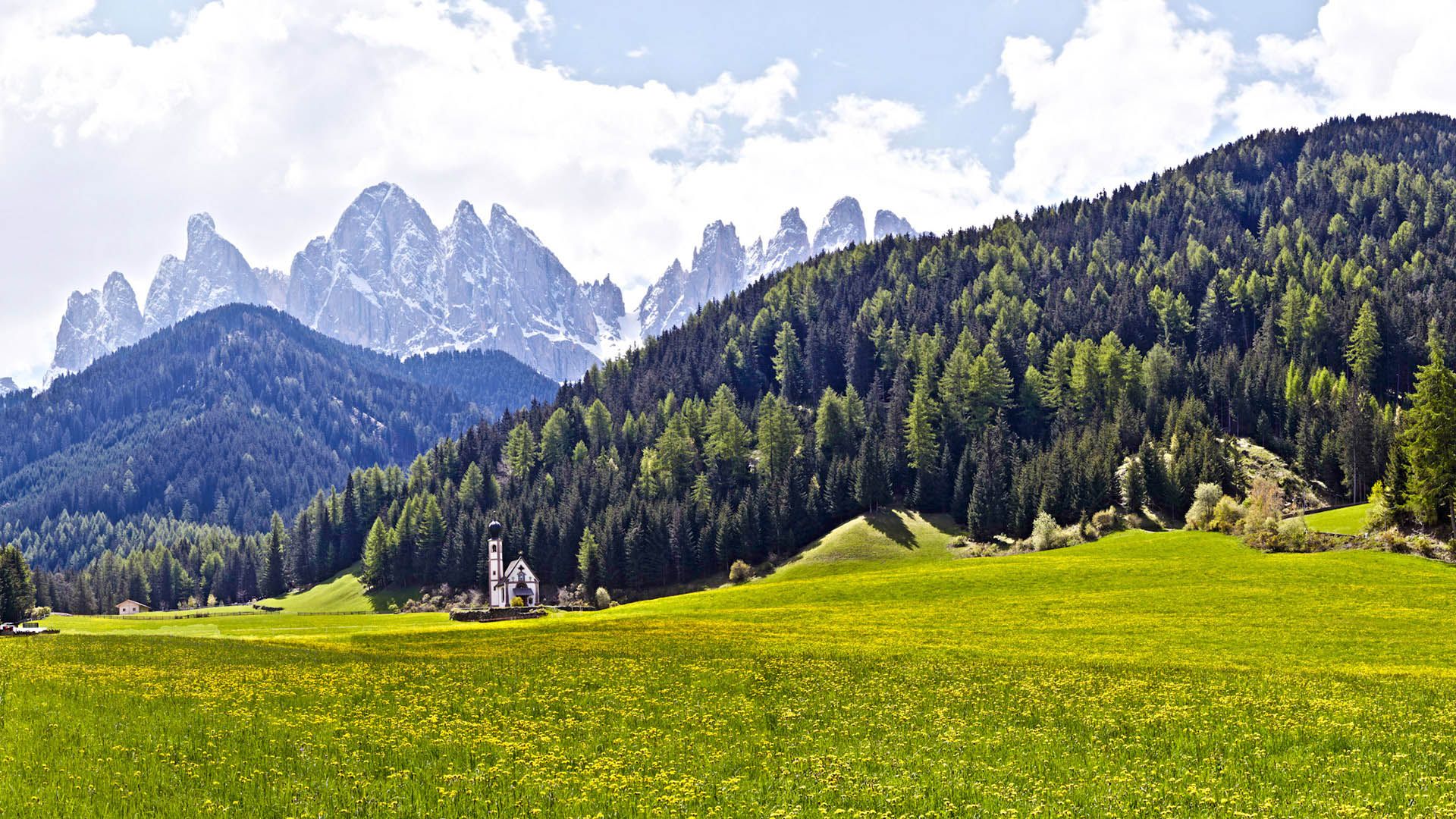 Panoramic view of Val di Funes with the Odle mountains in the background and a flower-filled meadow