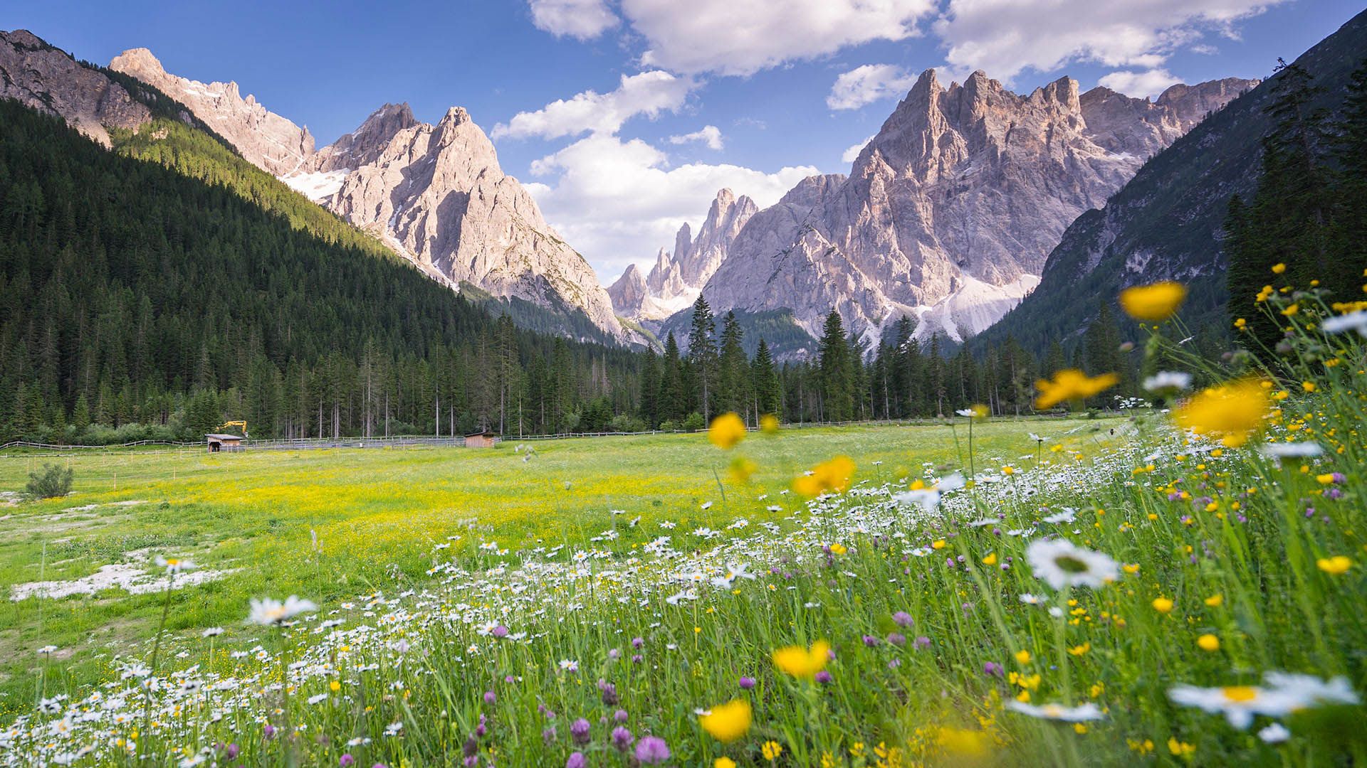 Hochpustertal und Panoramablick ins Fischleintal