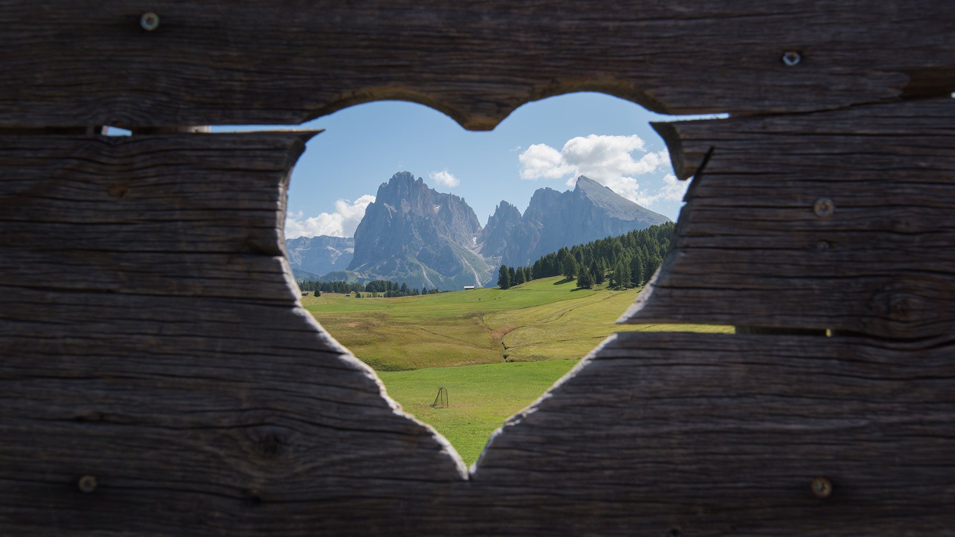 View of the Sassolungo from Alpe di Siusi through a wooden heart