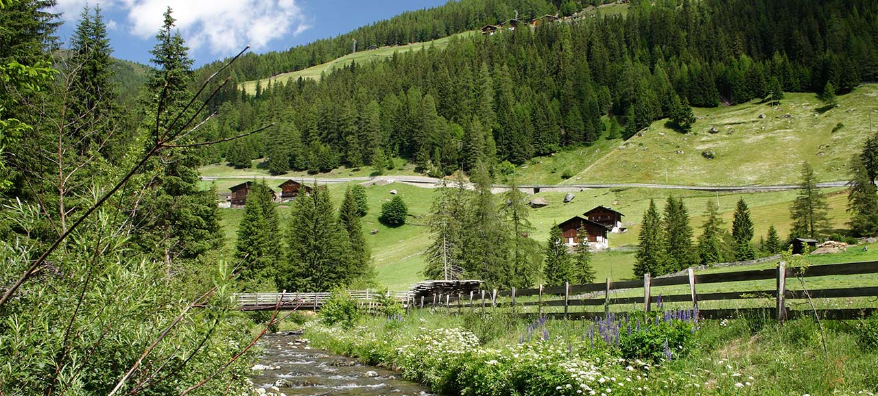 Sommeransicht des Ultentals mit Bach, Brücke und Zaun inmitten grüner Wiesen im Vordergrund und typischen Bauernhöfen und Wäldern im Hintergrund